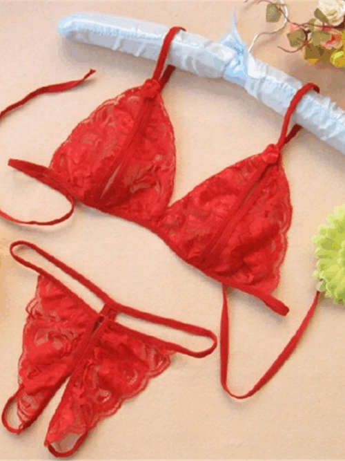 Lenceria sexy Encaje dos piezas tanga mariposa